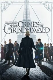 صورة ملصق مشاهدة فيلم Fantastic Beasts: The Crimes of Grindelwald مترجم