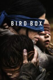 صورة ملصق Bird Box