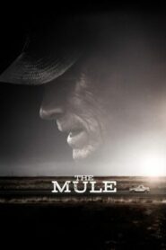 صورة ملصق مشاهدة فيلم 2019 The Mule كامل مترجم عربي اون لاين