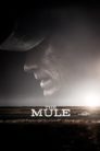 صورة ملصق The Mule