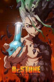 صورة ملصق انمي Dr. Stone: Stone Wars