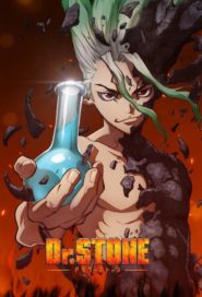 صورة انمي Dr. Stone مترجم عربي كامل اون لاين الموسم 1