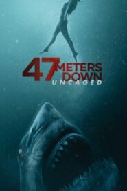 صورة ملصق فيلم 2019 47 Meters Down: Uncaged كامل مترجم عربي اون لاين