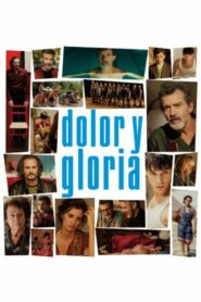 صورة ملصق Dolor y gloria