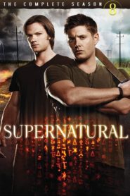 صورة مسلسل Supernatural 2019 مترجم عربي كامل اون لاين 8