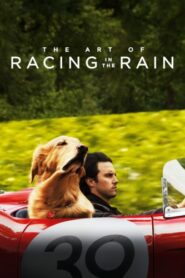 صورة ملصق The Art of Racing in the Rain