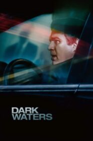 صورة ملصق فيلم Dark Waters مترجم