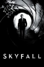 صورة ملصق فيلم Skyfall مترجم كامل اون لاين