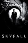 صورة ملصق فيلم Skyfall مترجم