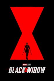 صورة ملصق فيلم Black Widow مترجم