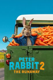 صورة ملصق فيلم Peter Rabbit 2 The Runaway مترجم