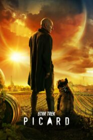 صورة ملصق مسلسل Star Trek: Picard 2020 مترجم كامل اون لاين