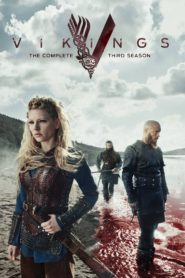 صورة مسلسل Vikings الموسم 6 السادس كامل اون لاين 3