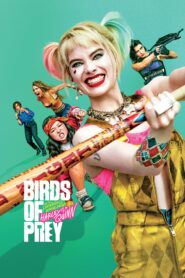 صورة ملصق فيلم Birds of Prey 2020 مترجم كامل اون لاين