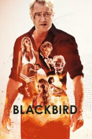 صورة ملصق فيلم Blackbird مترجم كامل اون لاين