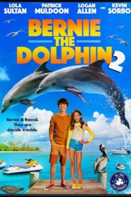 صورة ملصق فيلم Bernie the Dolphin 2 مترجم كامل اون لاين