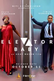 صورة ملصق فيلم Elevator Baby مترجم كامل اون لاين