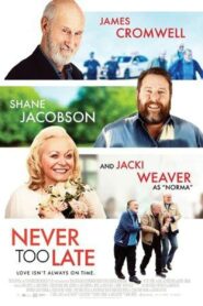 صورة ملصق فيلم Never Too Late 2020 مترجم كامل اون لاين