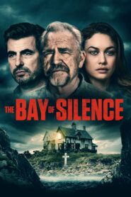 صورة ملصق فيلم The Bay of Silence 2020 مترجم كامل اونلاين