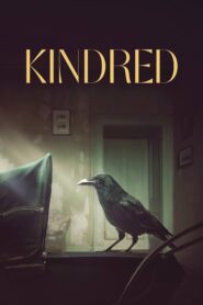 صورة ملصق Kindred