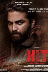 صورة ملصق Hit