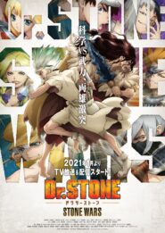 صورة انمي Dr. Stone الموسم 2