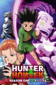 صورة انمي Hunter x Hunter الجزء 1