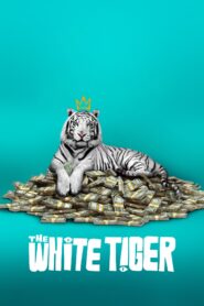 صورة ملصق The White Tiger