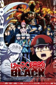 صورة ملصق جميع حلقات انمي Hataraku Saibou مترجمة اون لاين