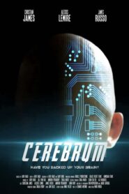 صورة ملصق فيلم Cerebrum 2021 مترجم اونلاين