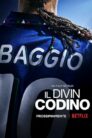 صورة ملصق فيلم Il Divin Codino مترجم