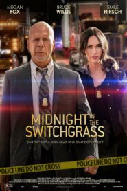 صورة ملصق Midnight in the Switchgrass