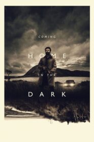 صورة ملصق فيلم Coming Home in the Dark 2021 مترجم اون لاين