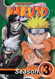 صورة انمي Naruto الموسم الثالث