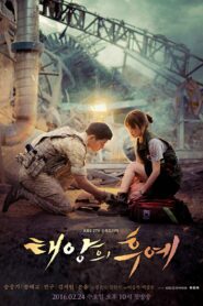 صورة ملصق جميع حلقات مسلسل Descendants of the Sun مترجمة اونلاين