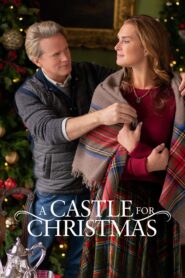 صورة ملصق فيلم A Castle for Christmas 2021 مترجم