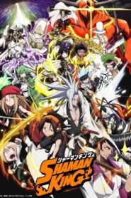 صورة ملصق جميع حلقات أنمي Shaman King مترجمة اون لاين