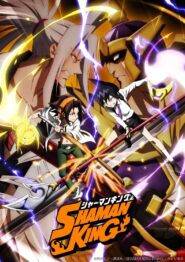 صورة انمي Shaman King الموسم الاول