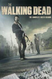 صورة مسلسل The Walking Dead الموسم السادس