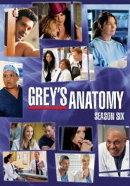 صورة مسلسل Grey's Anatomy الموسم السادس