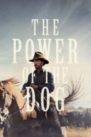 صورة ملصق فيلم The Power of the Dog 2021 مترجم اون لاين