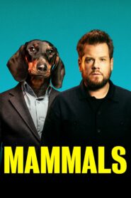 صورة ملصق مسلسل Mammals