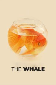 صورة ملصق فيلم The Whale 2022 مترجم Full HD