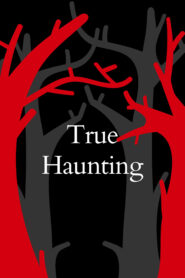 صورة ملصق فيلم True Haunting 2022 مترجم HD