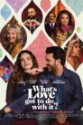 صورة ملصق فيلم What's Love Got to Do With It? مترجم