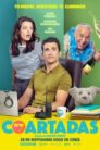 صورة ملصق Coartadas
