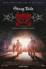 صورة ملصق فيلم Stray Kids: The dominATE Experience 2026 مترجم بجودة عالية Full HD