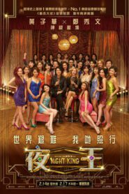 صورة ملصق Night King